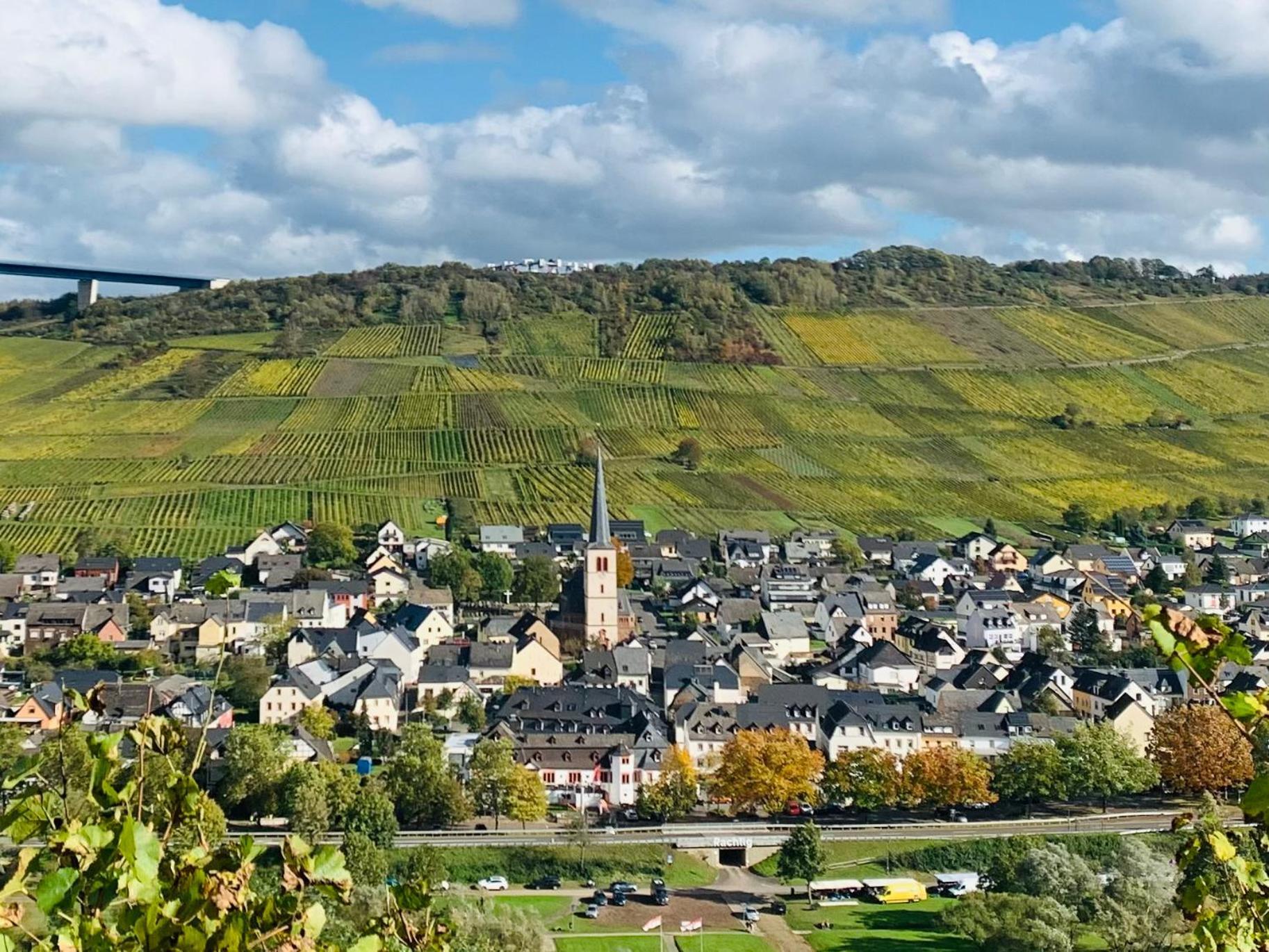 Отель Weinhof Michael Morbach Цельтинген-Рахтиг Экстерьер фото